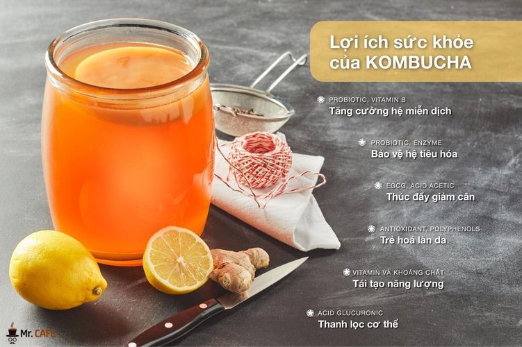 đánh giá chất lượng sản phẩm của kombucha vietnam