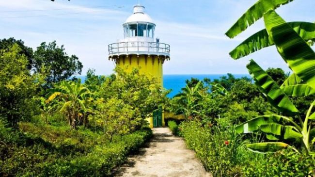 beautiful scenery, da nang, lighthouse, son tra, the plan, travel, the scene is like a fairy garden at the hundred-year-old lighthouse located on the son tra peninsula