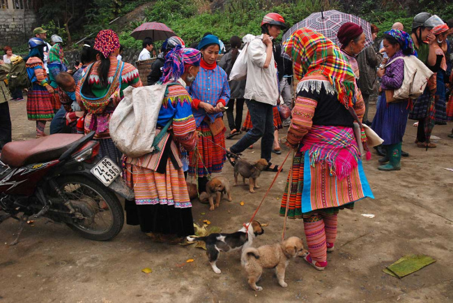 bac ha market – travel guide & 7 tips when visiting