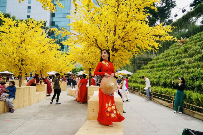 apricot flower, bonsai, breaking news, ho chi minh city, lunar new year, mai tet, tet bonsai, tet quy mao, thanh nien cultural house, golden apricot garden in the heart of saigon attracts visitors