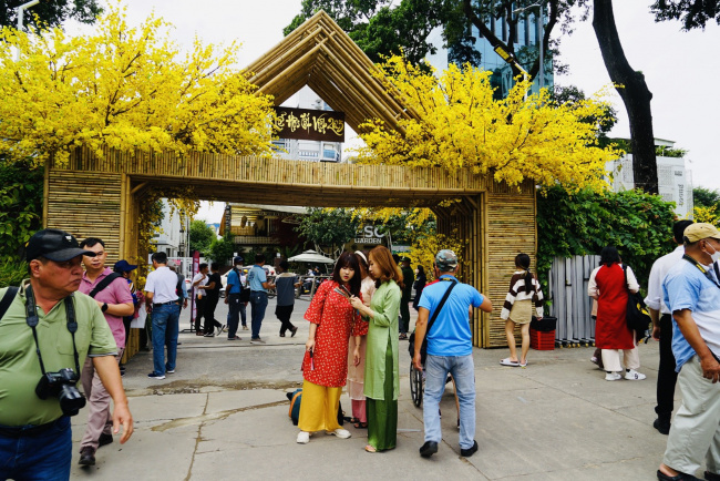 apricot flower, bonsai, breaking news, ho chi minh city, lunar new year, mai tet, tet bonsai, tet quy mao, thanh nien cultural house, golden apricot garden in the heart of saigon attracts visitors