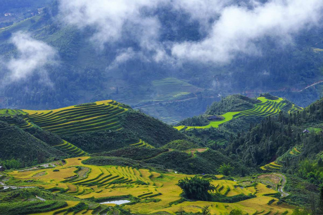 5 best places to see the sapa terraced rice fields