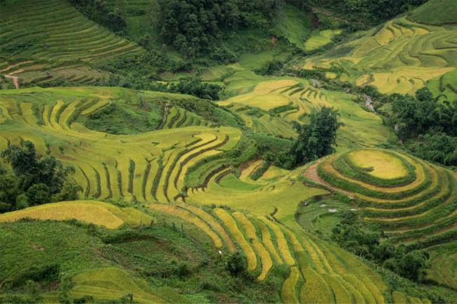 5 best places to see the sapa terraced rice fields