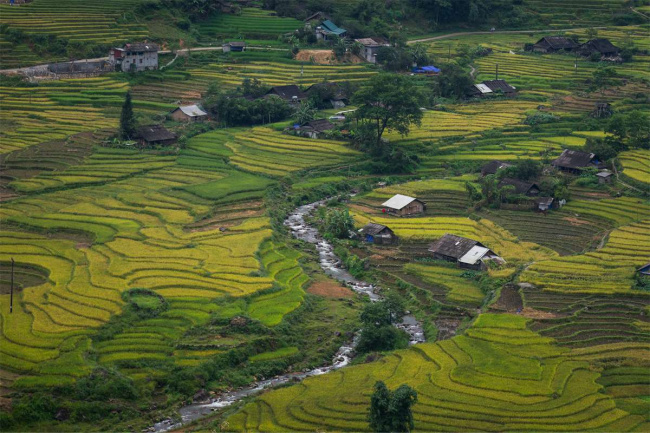 5 best places to see the sapa terraced rice fields