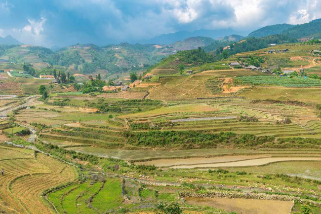 5 best places to see the sapa terraced rice fields