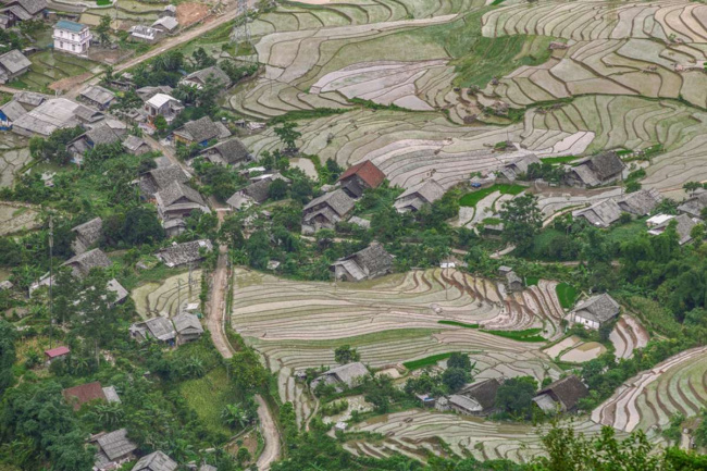 5 best places to see the sapa terraced rice fields