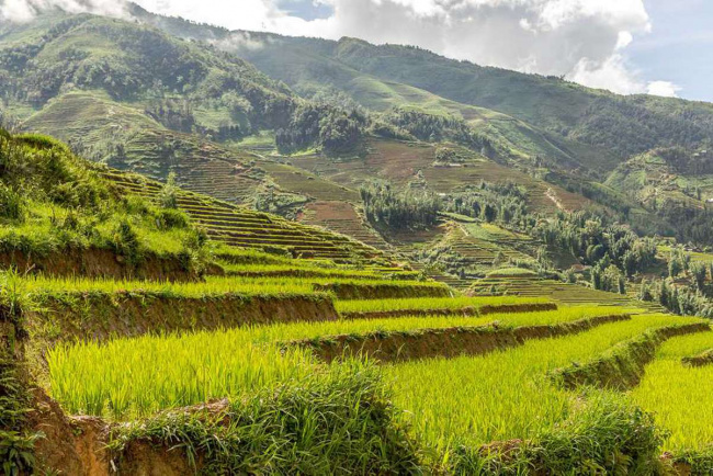 5 best places to see the sapa terraced rice fields