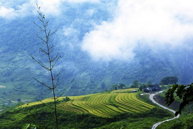 5 best places to see the sapa terraced rice fields