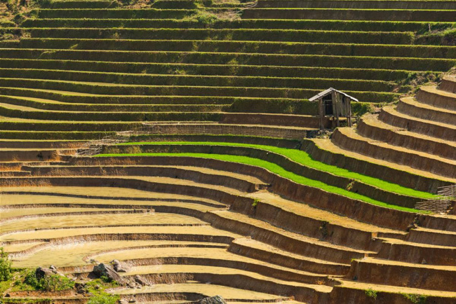 5 best places to see the sapa terraced rice fields