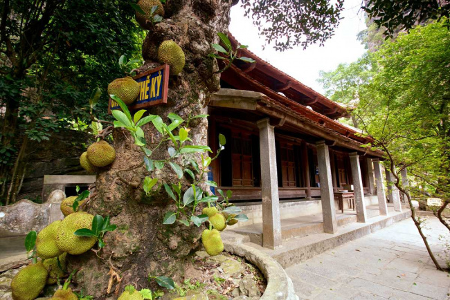 bich dong pagoda – unique photo destination in ninh binh