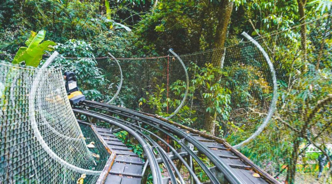 datanla waterfall in dalat: roller coaster, cable car, zip line & canyoning