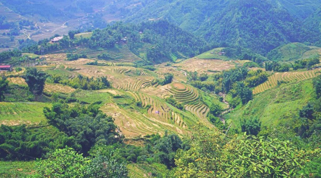 top 10 most beautiful rice fields in vietnam