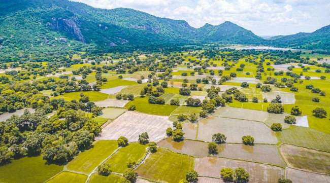 top 10 most beautiful rice fields in vietnam