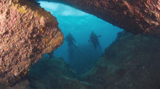 top 5 diving destinations in vietnam + best diving season & dive sites