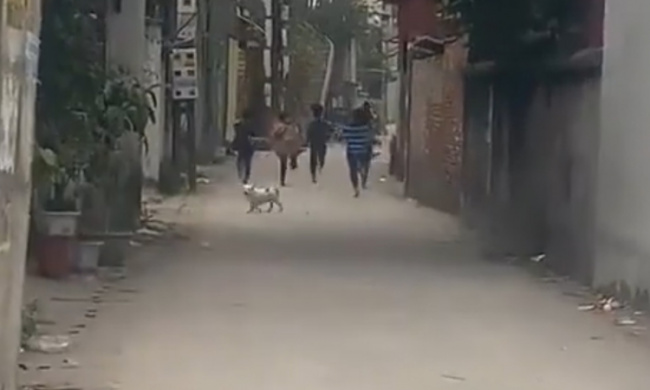 Đám trẻ chạy thục mạng vì trêu chó