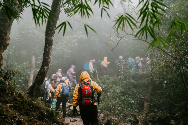 conquer fansipan, conquer fansipan peak, fansipan peak, lao cai tourism, nearly 300 people conquered fansipan peak in a day