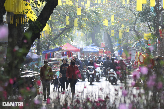 comb, flower market, hang khoai, hang luoc, hang ma, hang ma street, hang rui, old quarter, the vibrant flower market meets only once a year