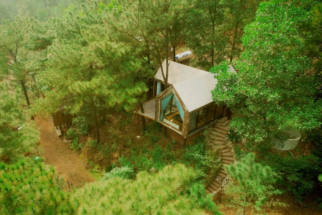 top 7 homestay sóc sơn cho kỳ nghỉ dưỡng xanh mát giữa rừng thông