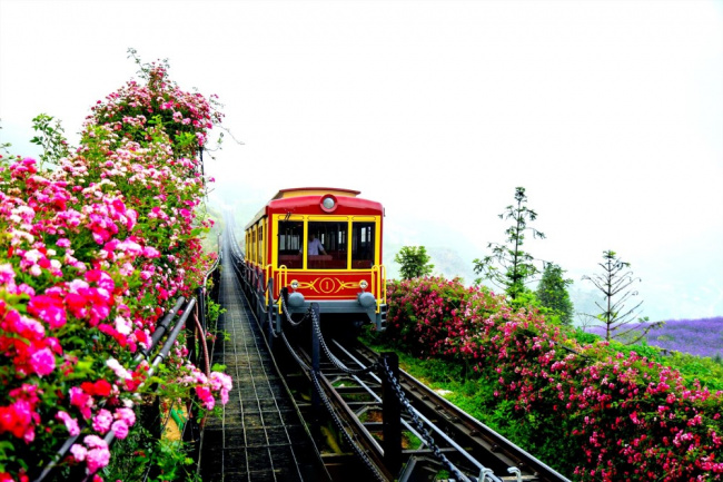 bảng giá vé tàu hỏa leo núi mường hoa sapa – fansipan