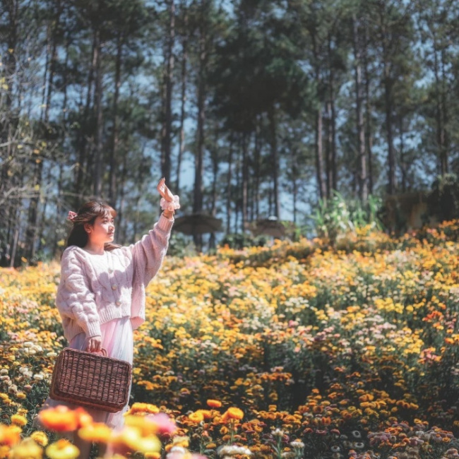 lunar new year, tay nguyen tourism, tet travel, revealing the beautiful new year check-in locations in the central highlands for the first spring trip of the year
