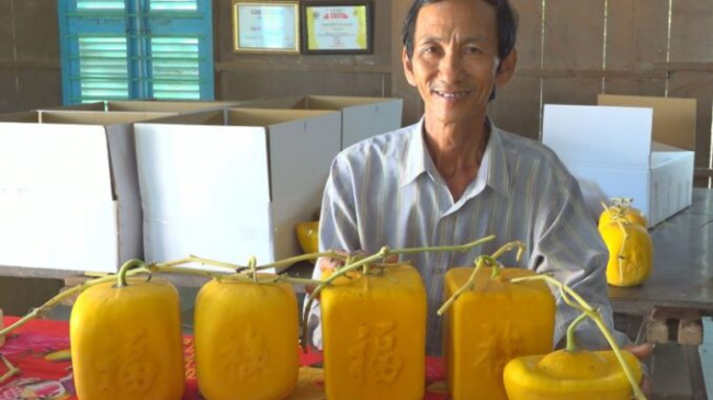 shape watermelon into gold bars, shape watermelon into gold bars, farmers collect millions of silver for tet