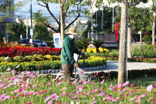 beautiful moments, lunar new year, marble mountains, ngu hanh son district, ngu hanh son mountains, young people in da nang are busy checking in to the spring flower garden at the foot of the ngu hanh son mountains