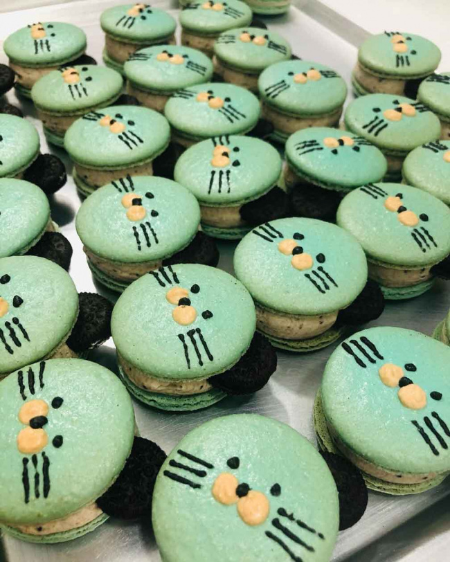 bỏ túi 4 tiệm bánh macaron ở sài gòn khiến nàng mê mẩn!