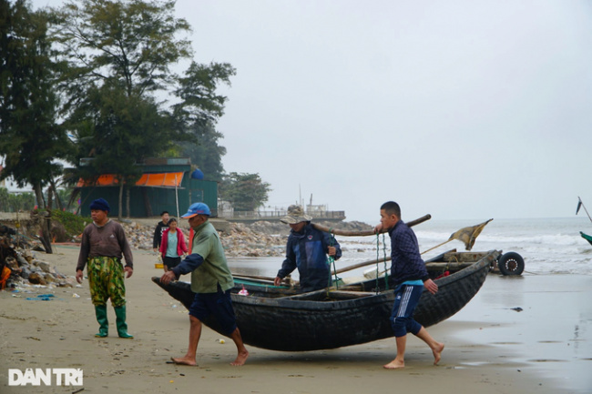 fish potato, fishermen, quang cu ward, sam son city, swimming in the sea, the begin of the year, vinlove.net, fishermen hunt fish and potatoes and earn millions on new year’s day