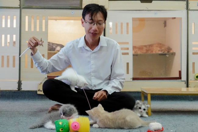 an binh ward, can tho, cat coffee, lunar new year 2023, ninh kieu district, vinlove.net, the guy spent more than 200 million dongs to open a cat cafe for guests to caress