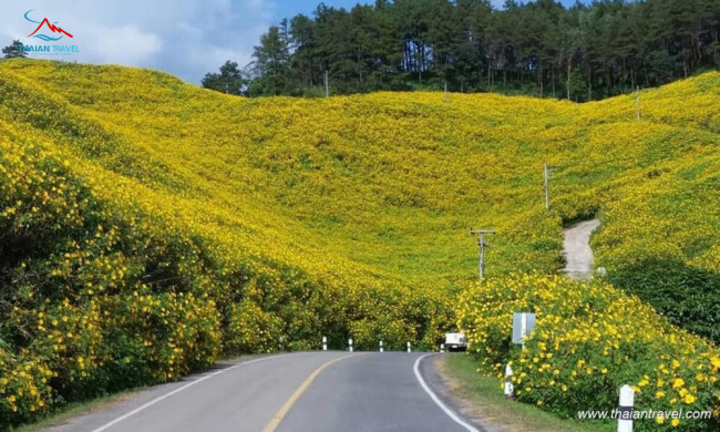 top 5 con đường đẹp nhất tây nguyên - địa điểm check in khó cưỡng
