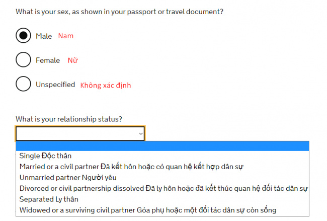 visa, hướng dẫn cách điền form xin visa anh online chi tiết nhất