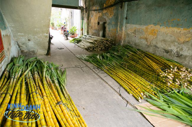 competition to buy, customs, lunar new year, vinlove.net, earn tens of millions in less than 24 hours thanks to the custom of buying golden sugar cane to worship god in saigon