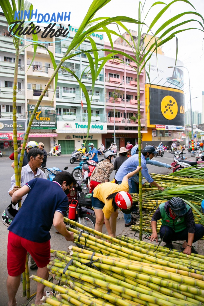competition to buy, customs, lunar new year, vinlove.net, earn tens of millions in less than 24 hours thanks to the custom of buying golden sugar cane to worship god in saigon