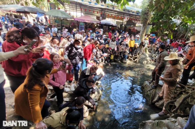 cam luong commune, cam thuy district, god fish, good luck new year, thanh hoa province, traveler, crowded with thousands of people admiring the “terrible” fish in thanh hoa