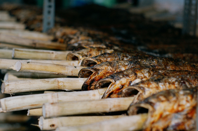 grilled snakehead fish, tan phu district, the god of tai, the most famous, the largest grilled snakehead fish oven in ho chi minh city “red on fire all night” to prepare for the day of god of fortune