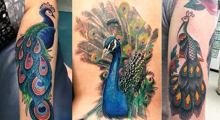 Discover and tell you the 55+ most beautiful and meaningful peacock tattoos in 2022