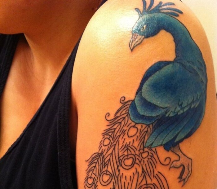 Discover and tell you the 55+ most beautiful and meaningful peacock tattoos in 2022
