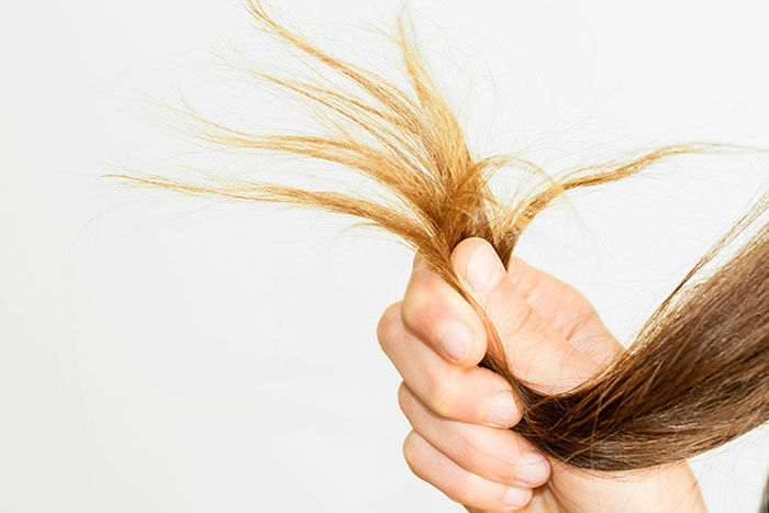 khám phá, những cách phục hồi tóc bị cháy đơn giản tại nhà