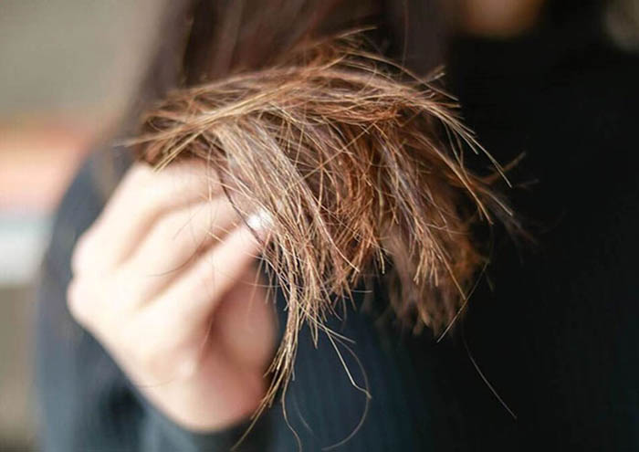 khám phá, tóc khó lên màu nên nhuộm màu gì? mẹo giúp giữ tóc được chắc khỏe 