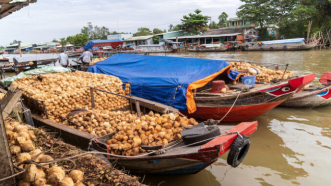 ben tre, ben tre tourism, coconut market, floated market, thom river, western travel, coconut market on the thom river in ben tre
