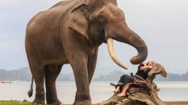 dak lak, do tourism, m&039;nong boy, vinlove.net, central highlands boy doing elephant-friendly tourism