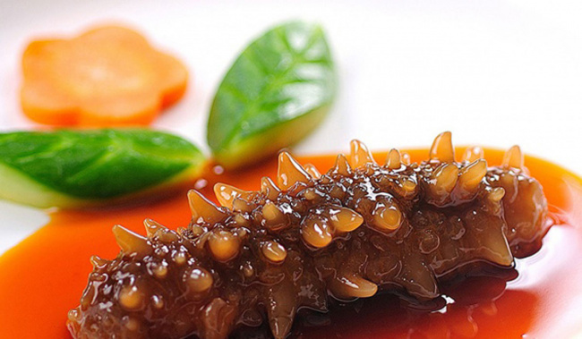 holothurian, phu quoc cuisine, phu quoc seafood, seafood restaurant, vinlove.net, phu quoc sea cucumber – a famous specialty of the sea that must be enjoyed once