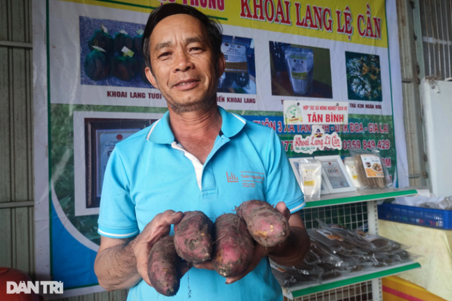 dak doa district, gia lai province, tan binh commune, the old farmer collects billions of money every year with the off-season specialty of yellow potatoes
