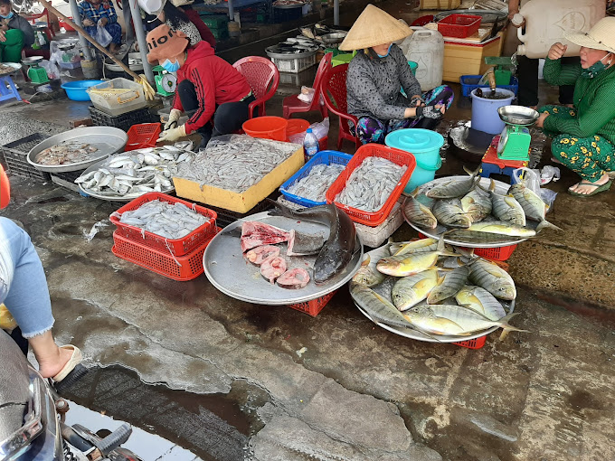 những khu chợ hải sản phú quốc tươi ngon sầm uất nhất đảo ngọc