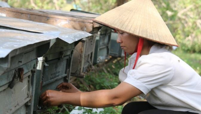 beekeeping, dak nong, dak nong province, honey, honeybee, tuy duc district, the nomadic life of flower season adventurers