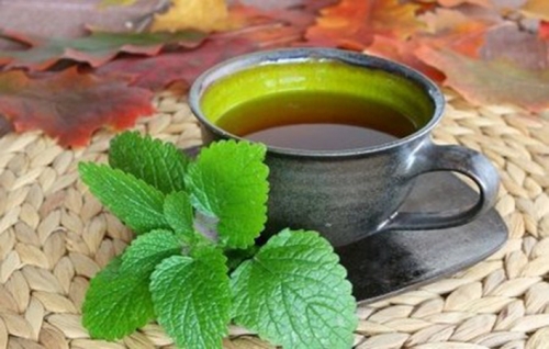top 9 loại trà thảo mộc giải nhiệt ngày hè giúp mẹ bầu không lo thiếu nước ối