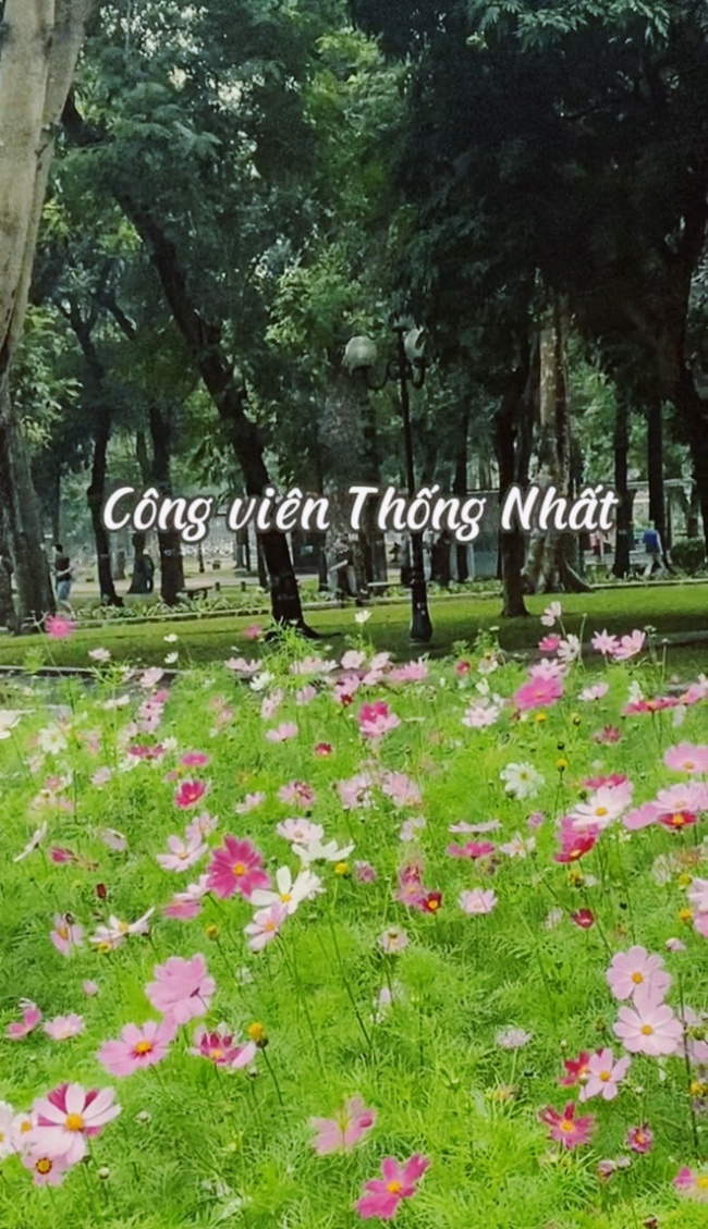 atmosphere, ha thanh youth, old hanoi, photography location, reunification park, thong nhat park changed its appearance, and ha thanh young people flocked to take pictures
