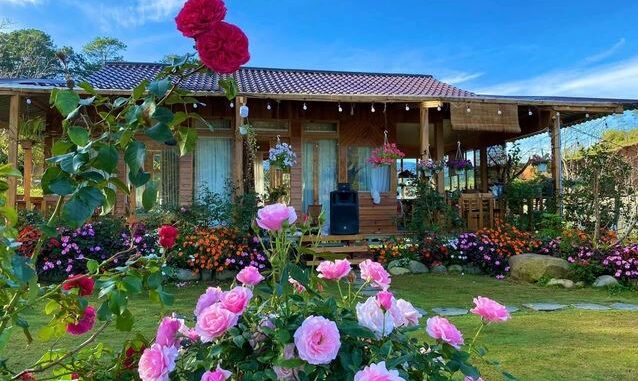 40m wooden house, air purifier, open space, phat diem church, a beautiful 40m wooden house like a fairy among flowers and clouds in lam dong