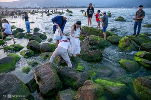 hàng nghìn chen nhau đổ về bãi rêu ghềnh đá nam ô để chụp ảnh: đông từ sáng sớm đến chiều muộn