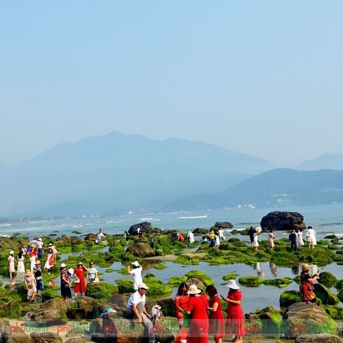 hàng nghìn chen nhau đổ về bãi rêu ghềnh đá nam ô để chụp ảnh: đông từ sáng sớm đến chiều muộn